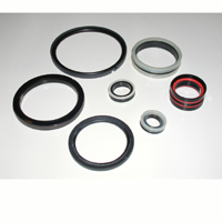 Piston Seals