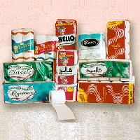 Queenex Tissues Factory