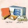 Egg Tray