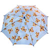 Children Umbrella