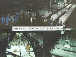 Airponic Growing System Model 10