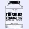 Tribulus Terrestris - P20